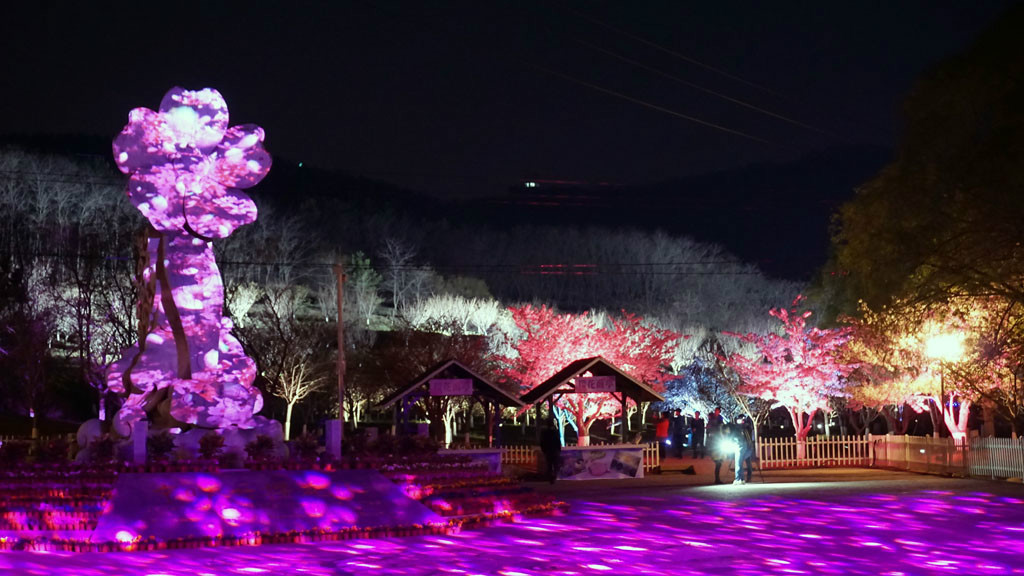 项目名称: 辽宁省大连市旅顺区二零三景区夜赏樱花夜景及灯光秀照明